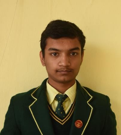 Vidhi Triwal